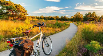 America's Roadmap to Cleaner Commutes: Your Practical Guide to Low-Carbon Transportation